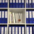L'appel en garantie des administrateurs par l'administration fiscale